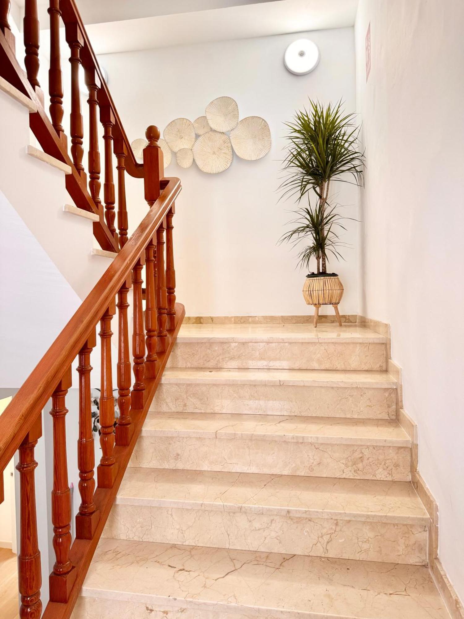 Ana Centro Apartment *
