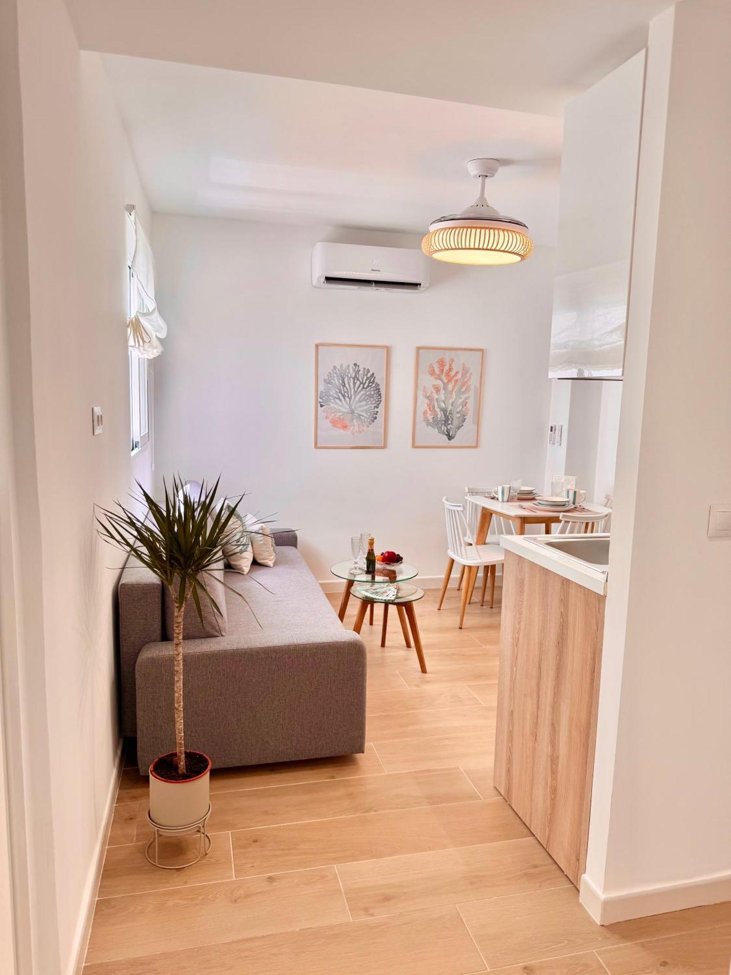 Ana Centro Apartment Marbella