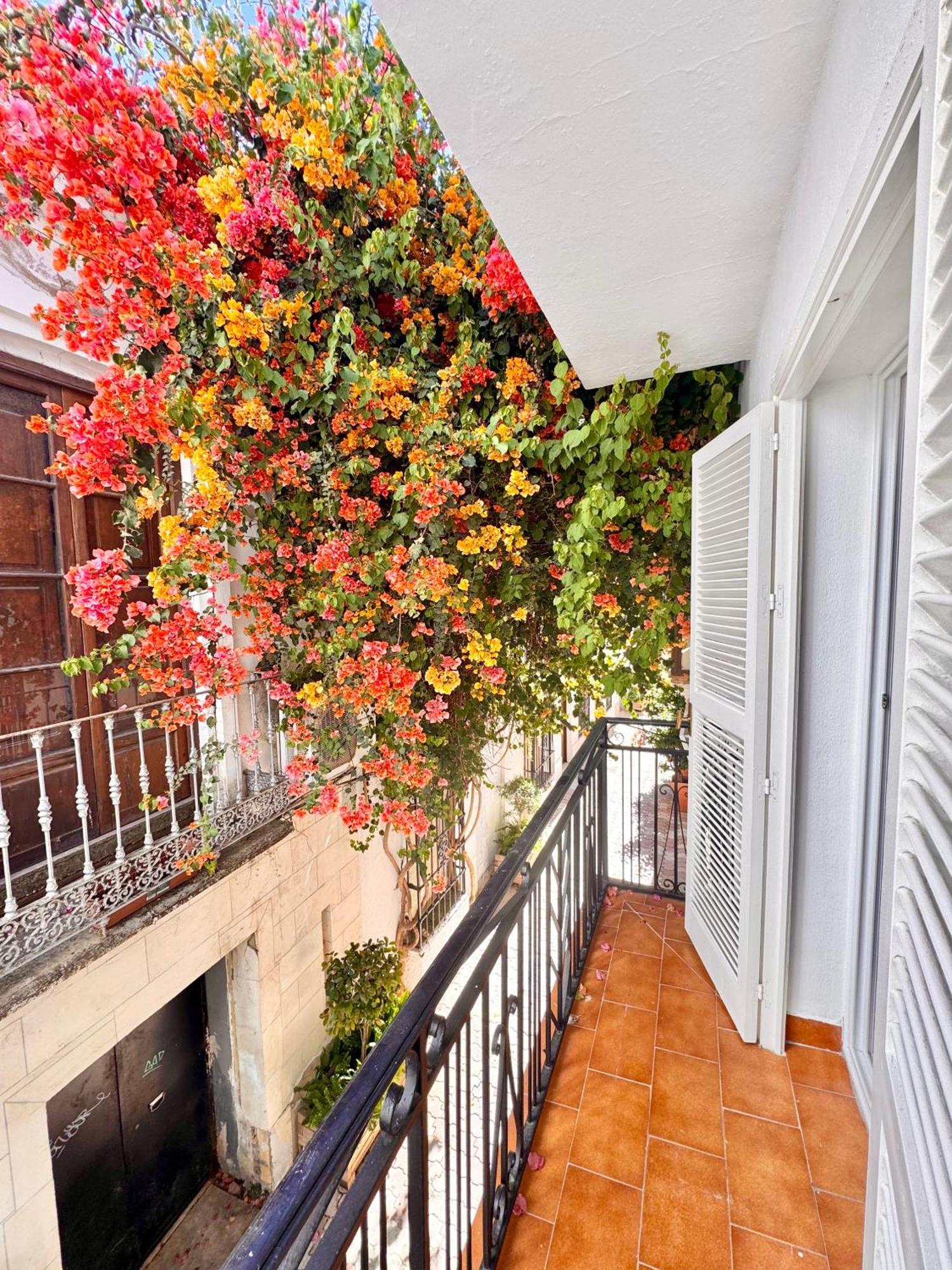 Apartment Ana Centro