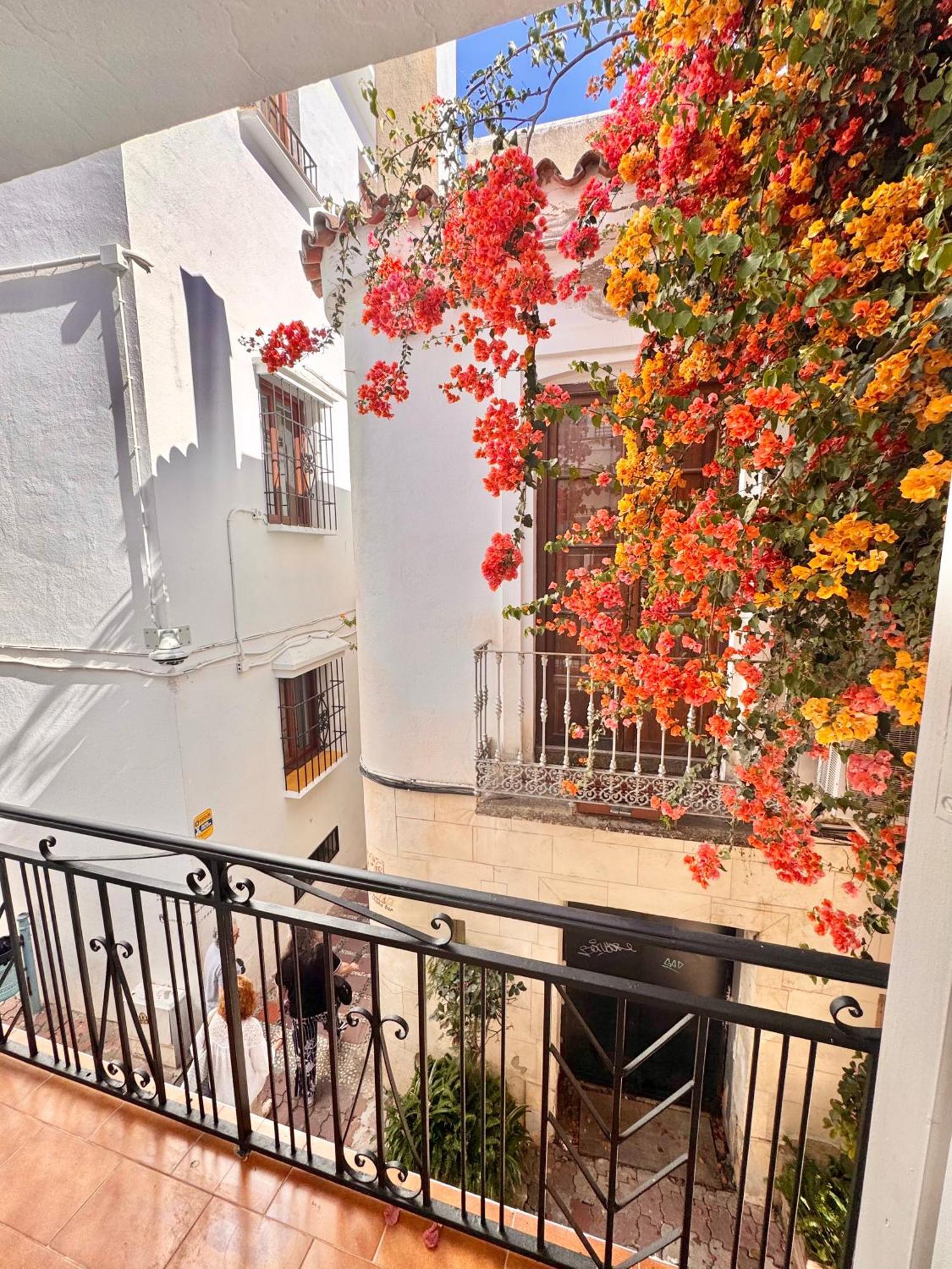 Ana Centro Marbella