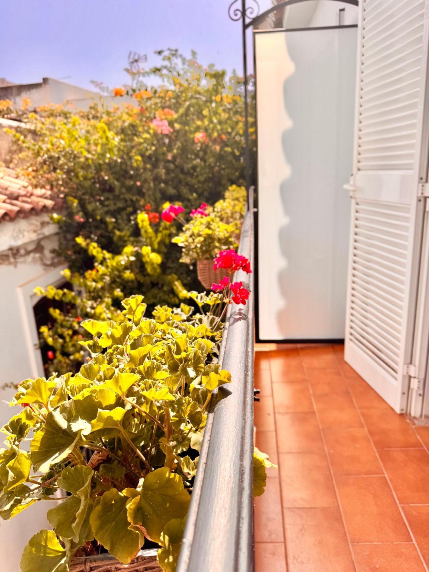 Ana Centro Apartment
