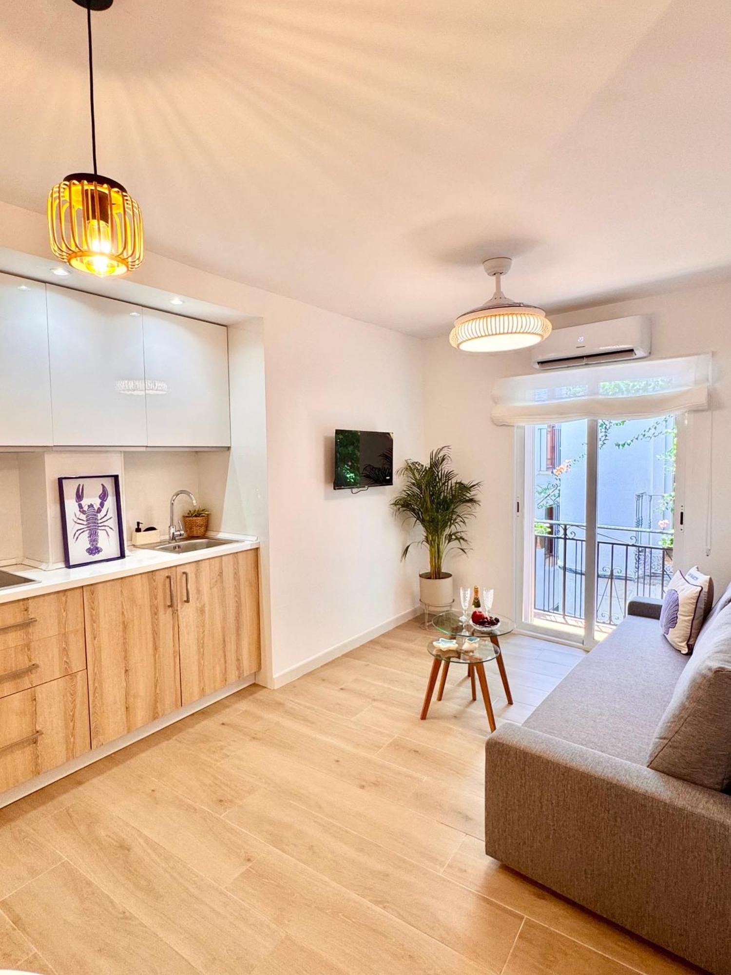 Ana Centro Apartment Marbella